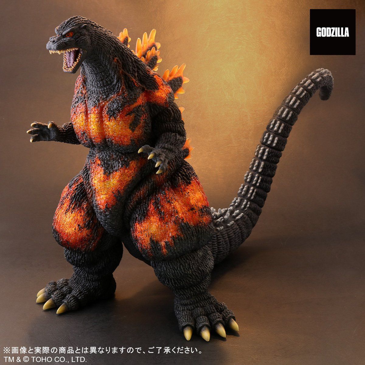 Godzilla Store Limited Toho Tokusatsu Clear File Godzilla 1995 From Japan 